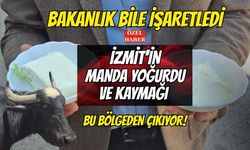 Bakanlık Bile İşaretledi: İzmit'in Manda Yoğurdu ve Kaymağı Bu Bölgeden Çıkıyor!