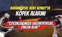 Karamürsel Kent Konut’ta Köpek Alarmı: "Çocuklarımıza Saldırıyorlar, Önlem Alın!"