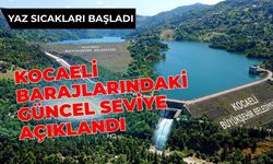 İSU Güncel Verileri Açıkladı: Kavurucu Yaz Sıcakları Öncesi Kocaeli'nin Su Rezervi Ne Durumda?