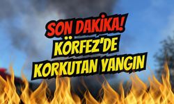 TEM Otoyolu Körfez Mevkiinde Tır Alev Alev Yandı