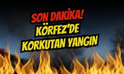 TEM Otoyolu Körfez Mevkiinde Tır Alev Alev Yandı