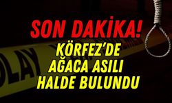 Körfez’de Kahreden Olay: Parkta Ağaca Asılı Halde Bulunan Şahsın Kimliği Netleşti!