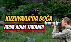 Kuzuyayla'da doğa adım adım tarandı