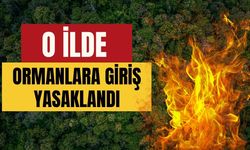 İstanbul’da Ormanlara Giriş Tam 4 Ay Yasaklandı! İstanbul Valiliği Yasak Takvimini Açıkladı