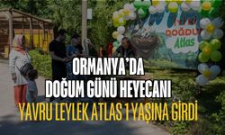 Ormanya'da Doğum Günü Heyecanı: Yavru Leylek Atlas 1 Yaşına Bastı!