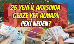 25 Yeni İl Arasında Gebze Yer Almadı! Peki Neden?