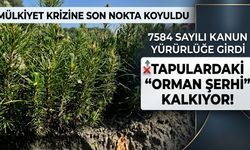 Mülkiyet Krizine Son Nokta Koyuldu: 7584 Sayılı Kanun Yürürlüğe Girdi, Tapulardaki "Orman Şerhi" Kalkıyor!