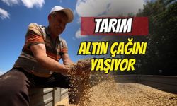 Kocaeli’de üretici maliyetlerinin yarı yarıya düşmesinden çok memnun: Tarım, altın çağını yaşıyor