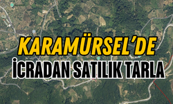 Karamürsel'de İcradan Satılık Tarla
