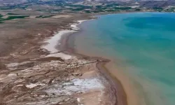 Bu sene yemekler tuzsuz olacak! Hasat durdu