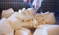Tarım Bakanlığı o peynirleri toplatıyor! Zararlı bakteri çıktı