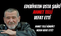 Edebiyat dünyasının usta şairi Ahmet Telli vefat etti