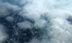 Sapanca Gölü'nün sırrı ortaya çıktı! Beyaz tabaka bu yüzden oluşuyormuş