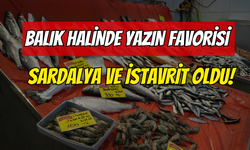 Kocaeli Balık Halinde Yazın Favorisi Sardalya ve İstavrit Oldu!