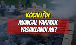Çayırova'da Mangal ve Semaver Yakmak Yasaklandı!
