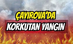 Çayırova Şekerpınar'da korkutan yeşillik alan yangını!