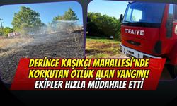 Derince Kaşıkçı Mahallesi’nde Korkutan Otluk Alan Yangını! Ekipler Hızla Müdahale Etti