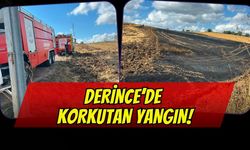 Derince’de Korkutan Yangın: Alevler Evin Eşiğinden Döndü!