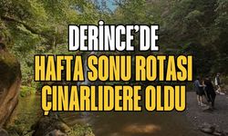 Derince’de hafta sonu rotası Çınarlıdere oldu