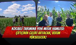 Kocaeli Tarımına Yeni Mısır Hamlesi: Çiftçinin Geliri Artacak, Verim Yükselecek!