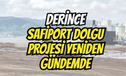 Derince'deki Safiport'ta Deniz Dolgu Çalışmaları Yeniden Gündemde