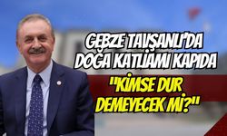 Gebze Tavşanlı’da Doğa Katliamı Kapıda: 99 Dönümlük Ormana Cüruf Tesisi İsteniyor!