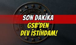 300 yurt yönetim personeli, 300 gençlik çalışanı alınacak: İşte tüm kriterler