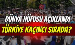 Dünya nüfusu 8,2 milyarı aştı: Türkiye Kaçıncı Sırada?
