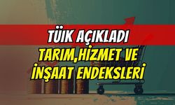 Türkiye Ekonomisinde Güncel Veriler: Tarım, Hizmet ve İnşaat Endeksleri