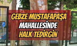 Mahalleli Korkudan Susuyor: Gebze’deki Okul Kabusu bitmiyor