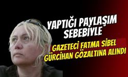 Berat Albayrak paylaşımına tutuklama: Gazeteci Fatma Sibel Gürcihan cezaevinde!