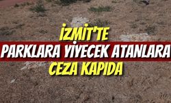 İzmit’te Parklara Yiyecek Atanlara Ceza Kapıda