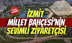 İzmit Millet Bahçesi’nin Sevimli Ziyaretçisi