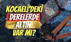 Kocaeli’deki Derelerde Altın Var Mı?