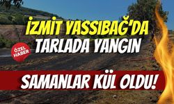 İzmit Yassıbağ’da Tarlada Yangın: Samanlar Kül Oldu