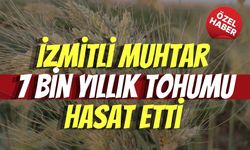 İzmitli Muhtar 7 Bin Yıllık Tohumu Hasat Etti