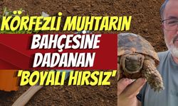 Körfezli Muhtarın Bahçesine Dadanan 'Boyalı Hırsız'