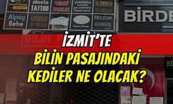 İzmit'te Bilin Pasajı Yıkılıyor! Peki Ya İçindeki Kediler Ne Olacak?
