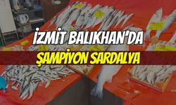 İzmit’te Balıkhan’da Haftanın Şampiyonu Sardalya