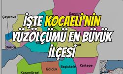 İşte Kocaeli'nin yüzölçümü en büyük ilçesi