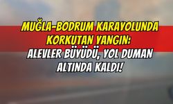 Muğla-Bodrum Karayolunda Korkutan Yangın: Alevler Büyüdü, Yol Duman Altında Kaldı!