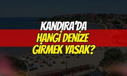 Kandıra Kaymakamlığı’ndan Acil Uyarı: Sahillerde Denize Girme Yasağı!