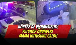 Körfez'de Pes Dedirten Hırsızlık: Petshop Önündeki Mama Kutusunu Çaldı!