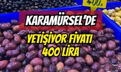 Karamürsel'de yetişiyor fiyatı 400 lira işte o ürün