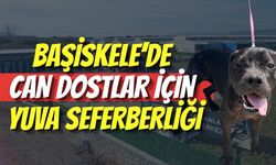 Başiskele’de Can Dostlar İçin Yuva Seferberliği