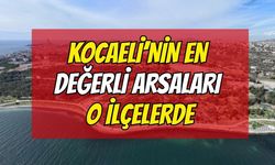 Kocaeli'nin en değerli arsaları o ilçelerde