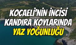 Kocaeli'nin İncisi Kandıra Koylarında Yaz Yoğunluğu
