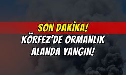 Körfez'de Ormanlık Alanda Korkutan Yangın