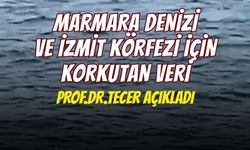 Marmara'da Deniz suyu sıcaklığı 50 yılda 2,5 derece arttı!: Kocaeli nasıl etkilenecek?