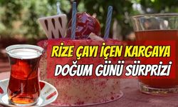 Rize Çayı İçen Kargaya Doğum Günü